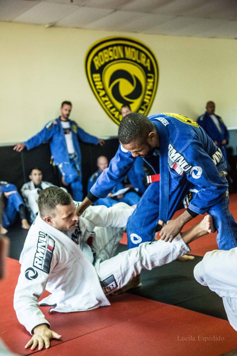 Adults training jiu-jitsu